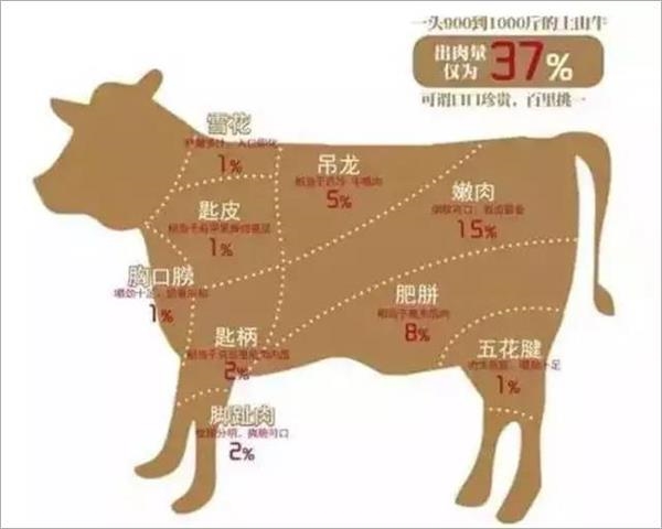 潮汕牛肉划分图片