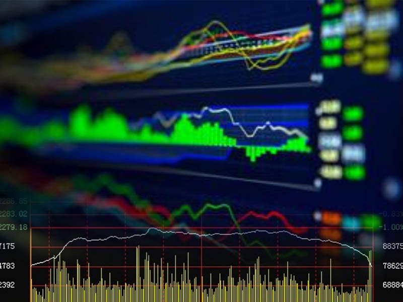 1月30日:股价连续第五天跌停