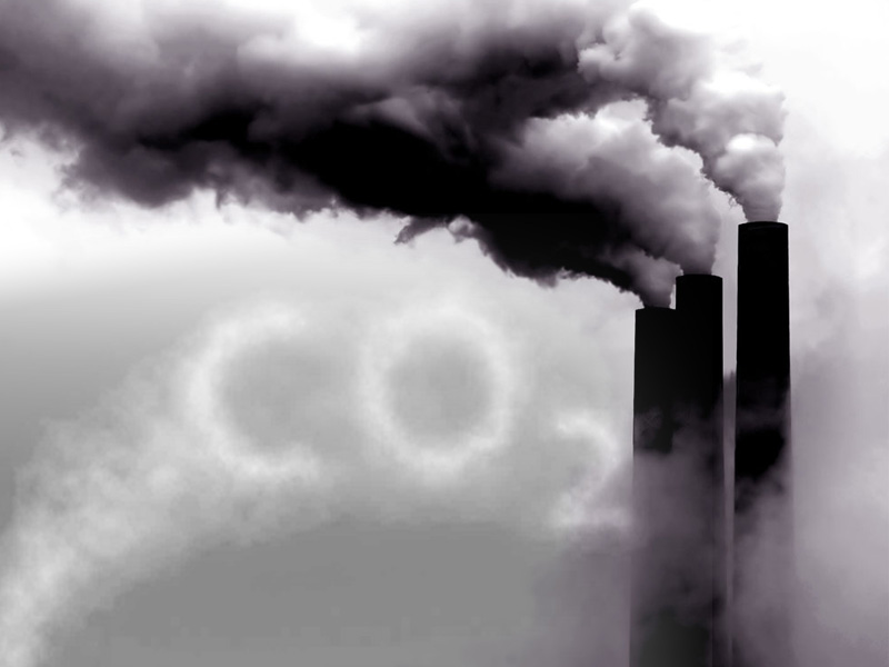 1月31日:股价连续第6日跌停