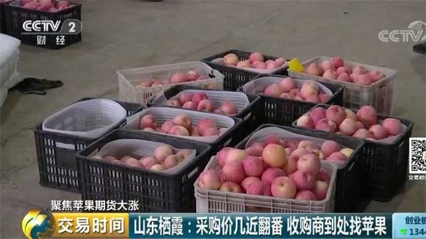 苹果期货行情