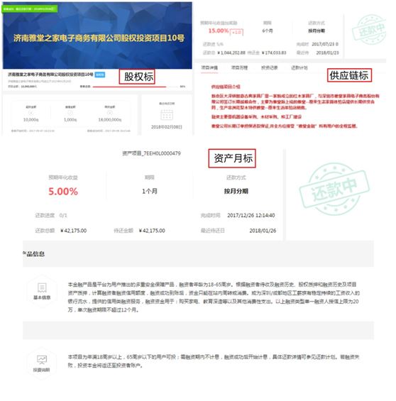 <strong>虚假融资人信息页面</strong>