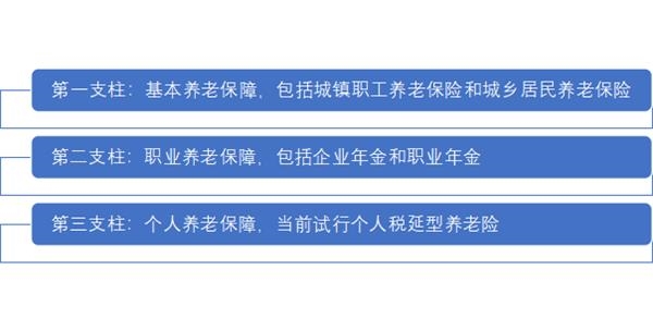 <strong>Combined mode of direct investment + entrusted investment</strong>