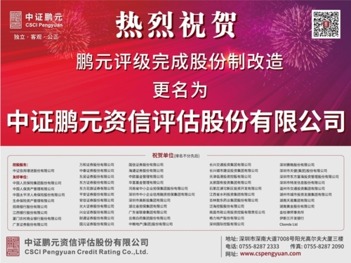 资信评估公司排名_联合资信评估公司图片