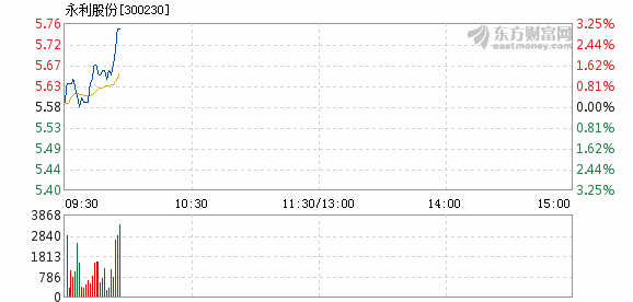 永利股份11月15日快速上涨
