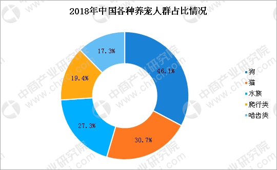 人口老龄化 定义_行业报告 2016人口老龄化调查报告(3)