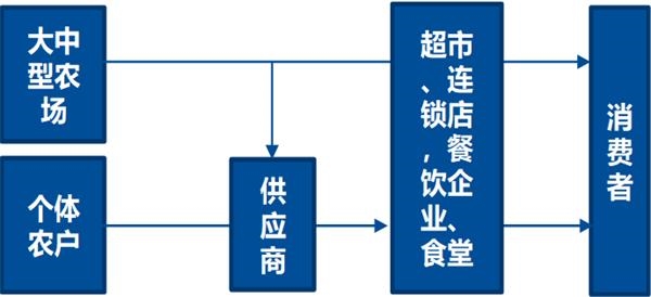 零售板块估值水平已回归历史最低水平 2019年零售行业买什么? 零售板块估值水平已回归历史最低水平 2019年零售行业买什么?