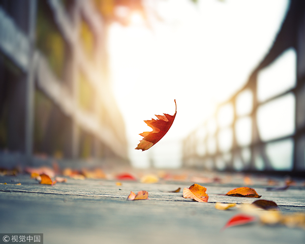 VCG41483266270.jpg