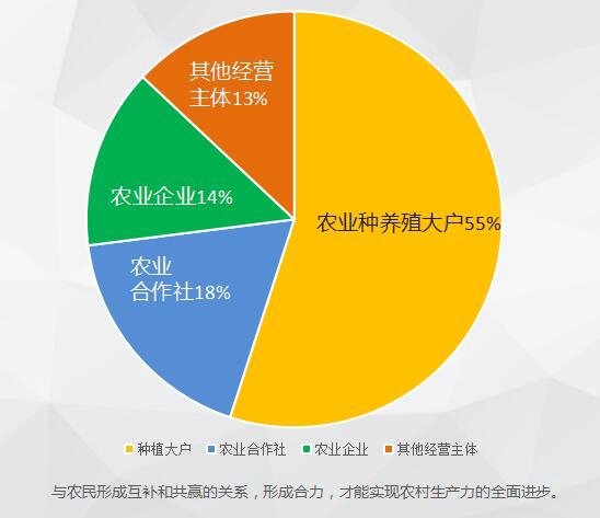 《土地流转市场报告》发布 流转市场呈多元化并进态势