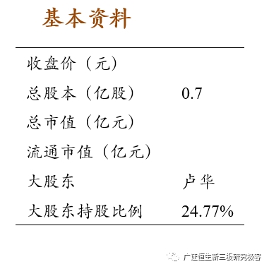 金东方智:扎根华中地区 打造全产业链城市照明