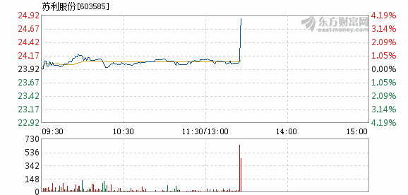 苏利股份6月12日快速上涨