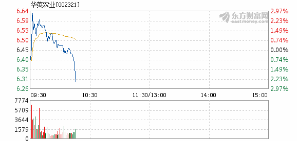华英农业6月19日加速下跌
