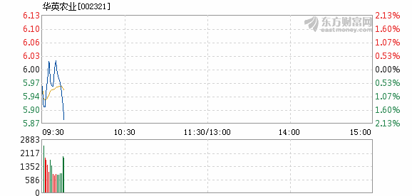 华英农业6月20日加速下跌