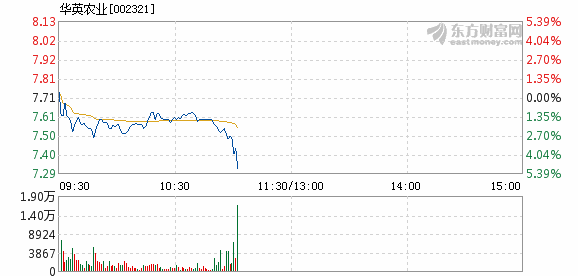 华英农业6月8日加速下跌