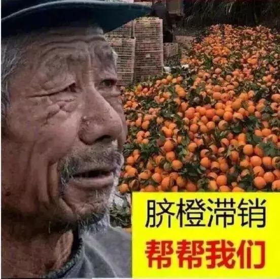微信图片_20180808152842.jpg