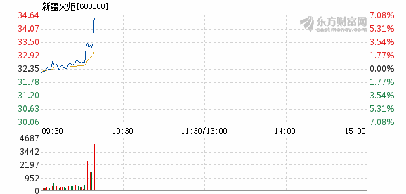新疆火炬8月14日盘中涨幅达5%