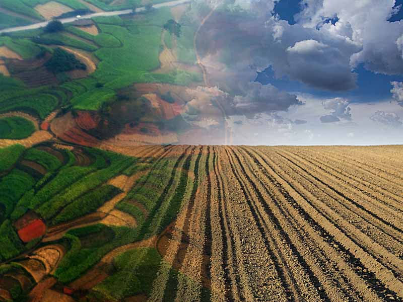 中介不服：属于典型造谣中伤