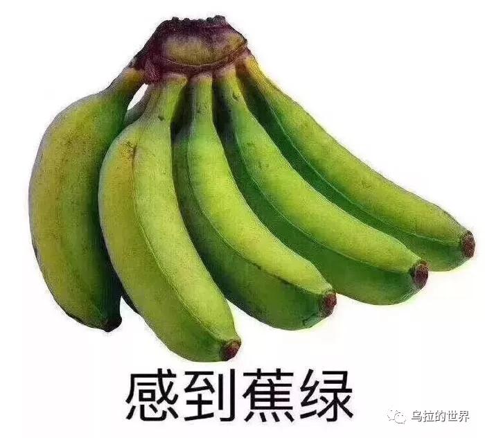 微信图片。jpg