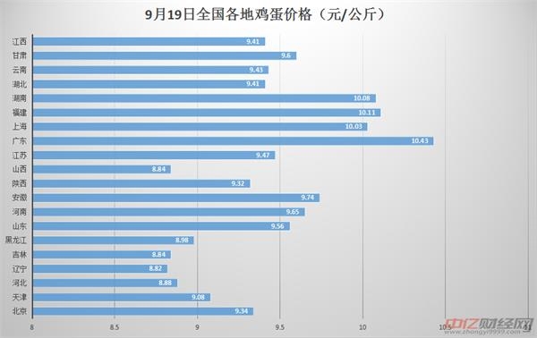 鸡蛋主力日线图 9.19今日最新鸡蛋价格行情走势分析