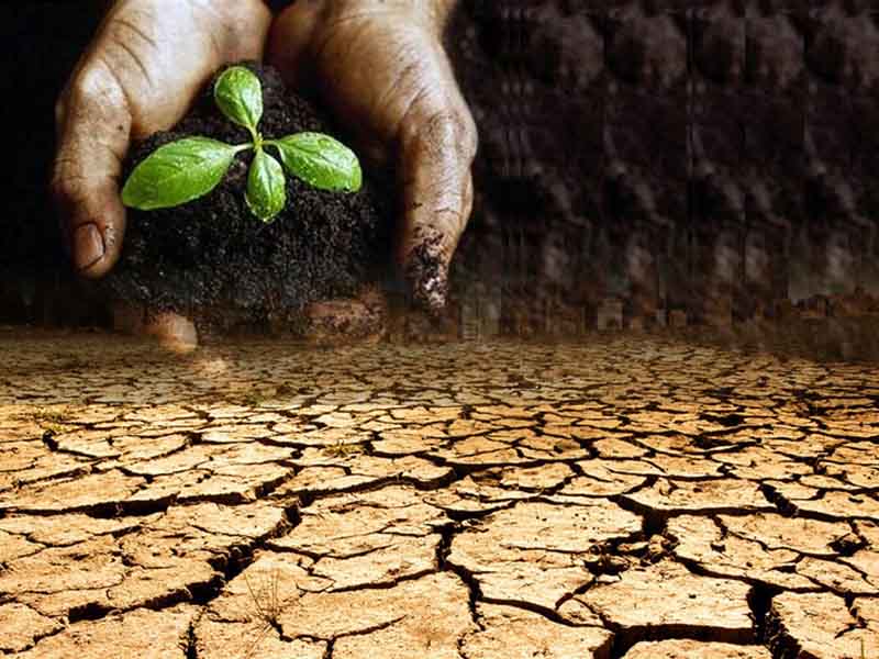 王兴在白热化竞争中杀出血路