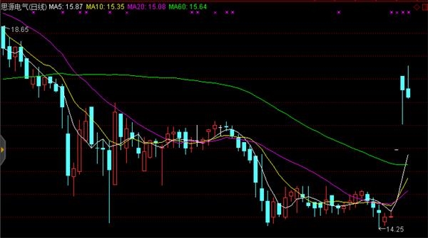 股市资讯官网_今日大盘行情分析+热门牛股推荐_股民必看的投资指南实探广东路股市沙龙：股民们怎么看2025年A股 关注哪些板块？明年机会在哪？ 一探