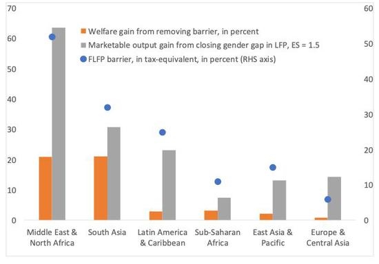 (对于中东的女性来说，性别壁垒相当于征收53%的税，来源：IMF)