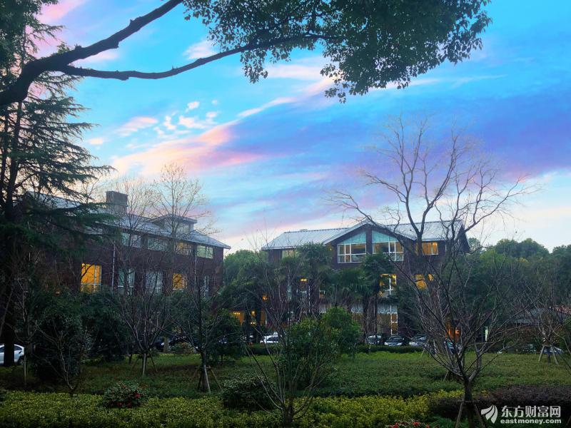 重启资产购买是不是量化宽松？