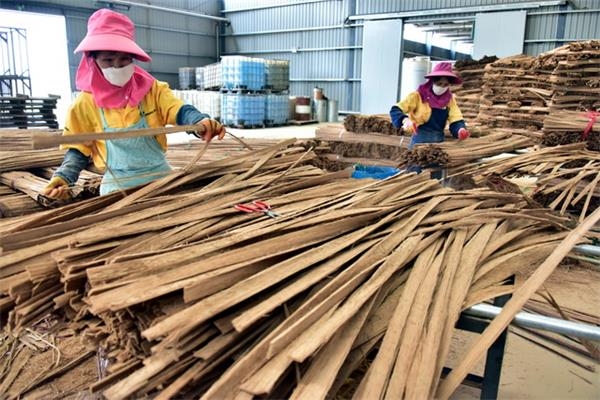 我国林业年产值已达到7.33万亿元,林业产业成为国民经济的重要支柱产业。摄影/章轲