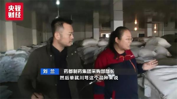 50万1公斤 !这类药材为啥比黄金还贵 中成药会涨价吗? 1 第7张 50万1公斤 !这类药材为啥比黄金还贵 中成药会涨价吗? 1 第7张