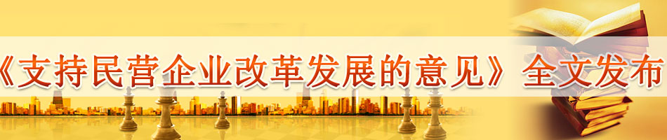 中共中央、国务院发布《支持民营企业改革发展的意见》