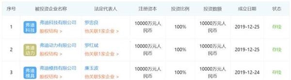 比亚迪，比亚迪子公司，比亚迪弗迪系子公司