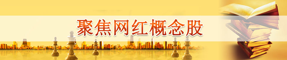 聚焦网红概念股