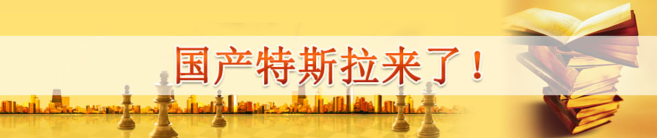 国产特斯拉来了！