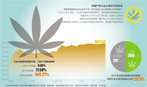 工业大麻"爆炒"背后:医用大麻非工业大麻 严格管控种植,提取