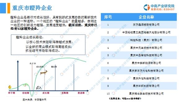 2019年重庆经济增长_推动工业经济发展 2019年重庆这些地方准备这么干(3)