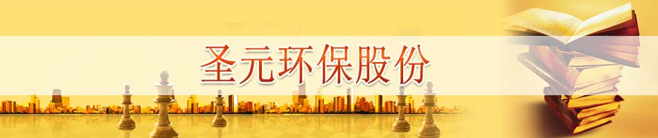 圣元环保股份有限公司