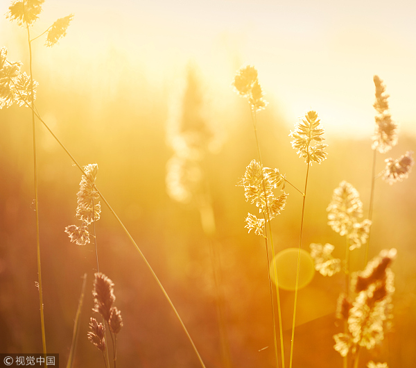 VCG41166044362.jpg