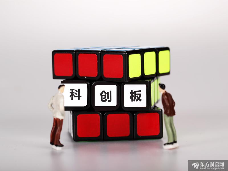 复旦张江冲击科创板上市