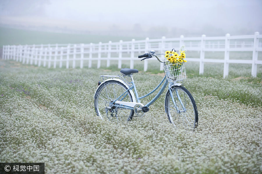 VCG21gic5488314风景。jpg