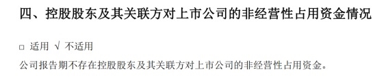 数据滥觞:*ST凯迪2018年年报 4.jpg