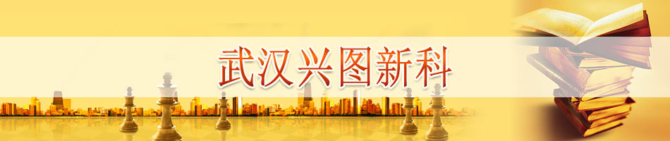 武汉兴图新科电子股份有限公司