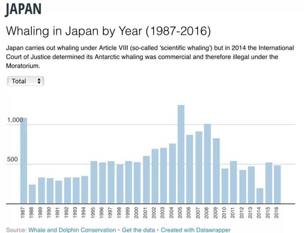 不顾国际舆论声讨日本坚持“退群” 鲸鱼又将面临一场浩劫？
