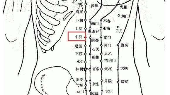 胃不好?中医:这3件小事,其实是不要钱的养胃药