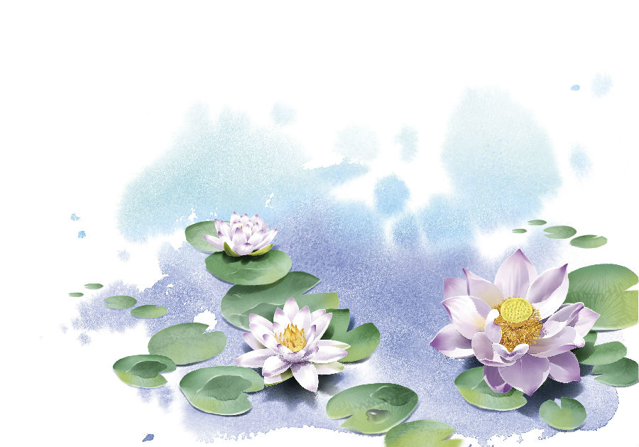 QJ9101913700荷花。jpg