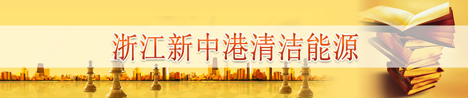 浙江新中港清洁能源股份有限公司