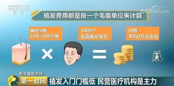 脱发人群超2.5亿
