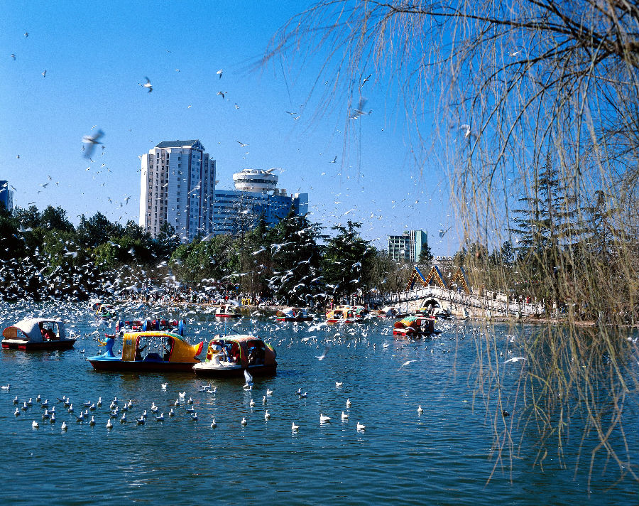 QJ8136634677.jpg