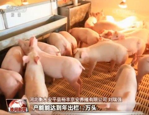节日期间蔬菜猪肉供给怎样?价钱是不是安稳?一同去看 赤峰信息网 第4张 节日期间蔬菜猪肉供给怎样?价钱是不是安稳?一同去看 赤峰信息网 第4张