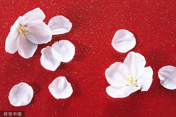 VCG210655c0f97花瓣。jpg