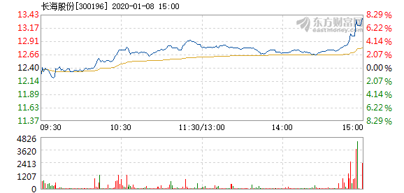 长海股份1月8日快速上涨