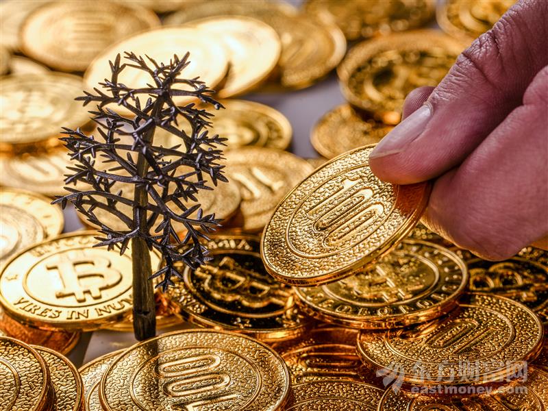 黄金、原油后市如何走？